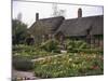 Anne Hathaway's Cottage, Birthplace and Childhood Home of Shakespeare's Future Wife, England-null-Mounted Photographic Print