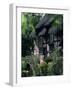 Anne Hathaway's Cottage, Shottery, Near Stratford-Upon-Avon, Warwickshire, England-Adam Woolfitt-Framed Photographic Print