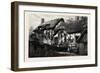 Anne Hathaway's Cottage, Stratford Upon Avon, Stratford-Upon-Avon, UK-null-Framed Giclee Print