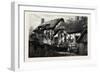 Anne Hathaway's Cottage, Stratford Upon Avon, Stratford-Upon-Avon, UK-null-Framed Giclee Print