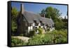 Anne Hathaway's Cottage, Stratford-Upon-Avon, Warwickshire, England, United Kingdom, Europe-Stuart Black-Framed Stretched Canvas