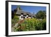 Anne Hathaway's Cottage, Stratford-Upon-Avon, Warwickshire, England, United Kingdom, Europe-Stuart Black-Framed Photographic Print