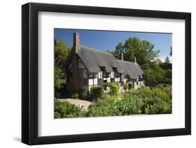 Anne Hathaway's Cottage, Stratford-Upon-Avon, Warwickshire, England, United Kingdom, Europe-Stuart Black-Framed Photographic Print