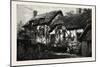 Anne Hathaway's Cottage, UK, 19th Century-null-Mounted Giclee Print