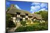 Anne Hathaway's Cottage-Neil Farrin-Mounted Photographic Print