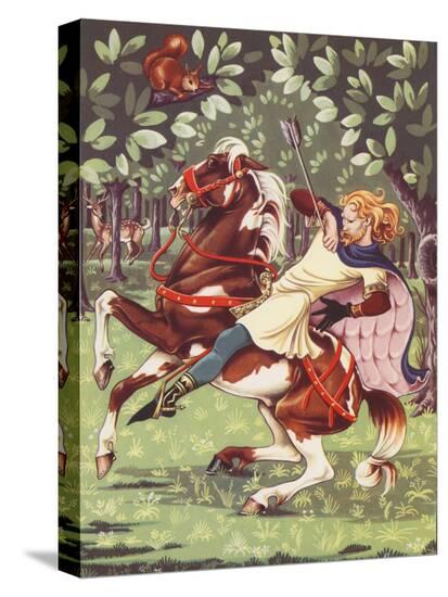 Stretched Canvas Print, , large