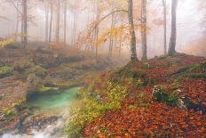 Italy, Trentino Alto Adige, Panoramic of Dolomiti Di Sesto Natural Park at Sunrise-Anne Maenurm-Photographic Print