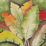 Banana Tree Leaves-Ormsby, Anne Ormsby-Framed Art Print