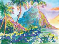 St. Lucia Rainbow Palette-Anne Ormsby-Framed Stretched Canvas