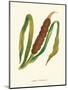 Wood Mount