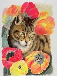 Long Hair Tabby-Anne Robinson-Giclee Print