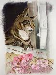 Long Hair Tabby-Anne Robinson-Giclee Print