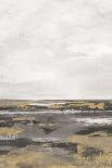 Pewter Coastline - Gaze-Anne Rushout-Stretched Canvas
