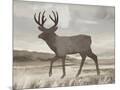 Wood Mount