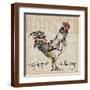 Brown Frame