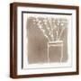 Brown Frame