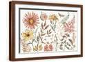 Brown Frame