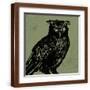 Brown Frame