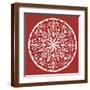 Brown Frame
