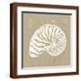 Brown Frame