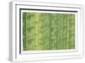 White Frame