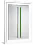 Gramercy White