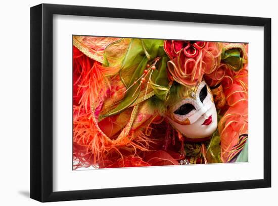 Annecy Festival Carnival Mask-null-Framed Art Print