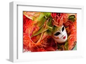 Annecy Festival Carnival Mask-null-Framed Art Print