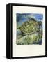 Framed Canvas
