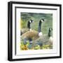 Black Frame