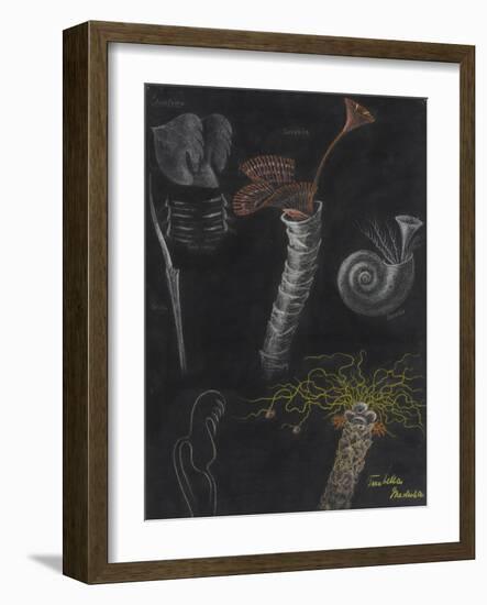 Annelida: Segmented Worms-Philip Henry Gosse-Framed Giclee Print