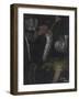 Annelida: Segmented Worms-Philip Henry Gosse-Framed Giclee Print