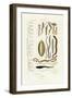 Annelids, 1833-39-null-Framed Giclee Print