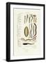 Annelids, 1833-39-null-Framed Giclee Print