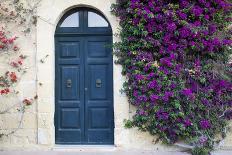 A Mediterranean House in Gozo, Malta with an Old Door and a Tree with Flowers Climbing the Wall-Annems-Photographic Print