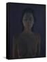 Annett, 2011-Aris Kalaizis-Framed Stretched Canvas