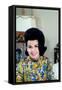 Annette Funicello-null-Framed Stretched Canvas