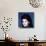 Annette Funicello-null-Photo displayed on a wall