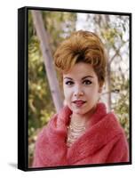 Annette Funicello-null-Framed Stretched Canvas