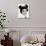 Annette Funicello-null-Photo displayed on a wall