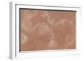White Frame