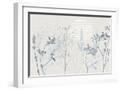 White Frame