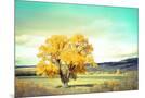 Wood Mount