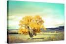 Stretched Canvas