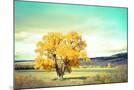 Wood Mount