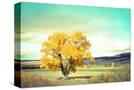 Stretched Canvas