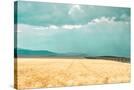 Stretched Canvas