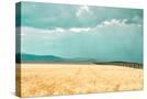 Stretched Canvas