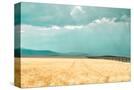 Stretched Canvas
