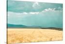 Stretched Canvas
